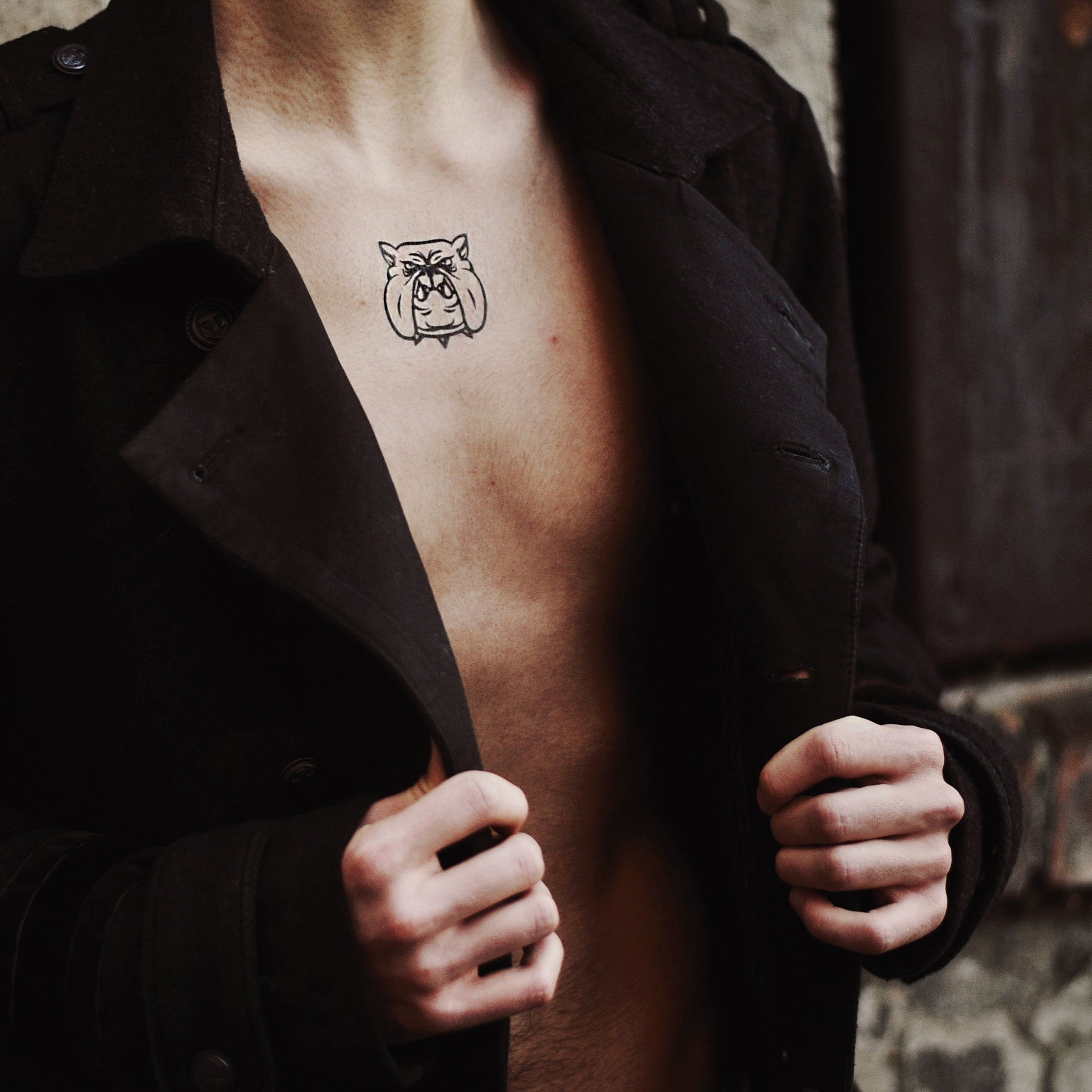 fake small french bulldog pug dog animal temporary tattoo sticker design idea on chest